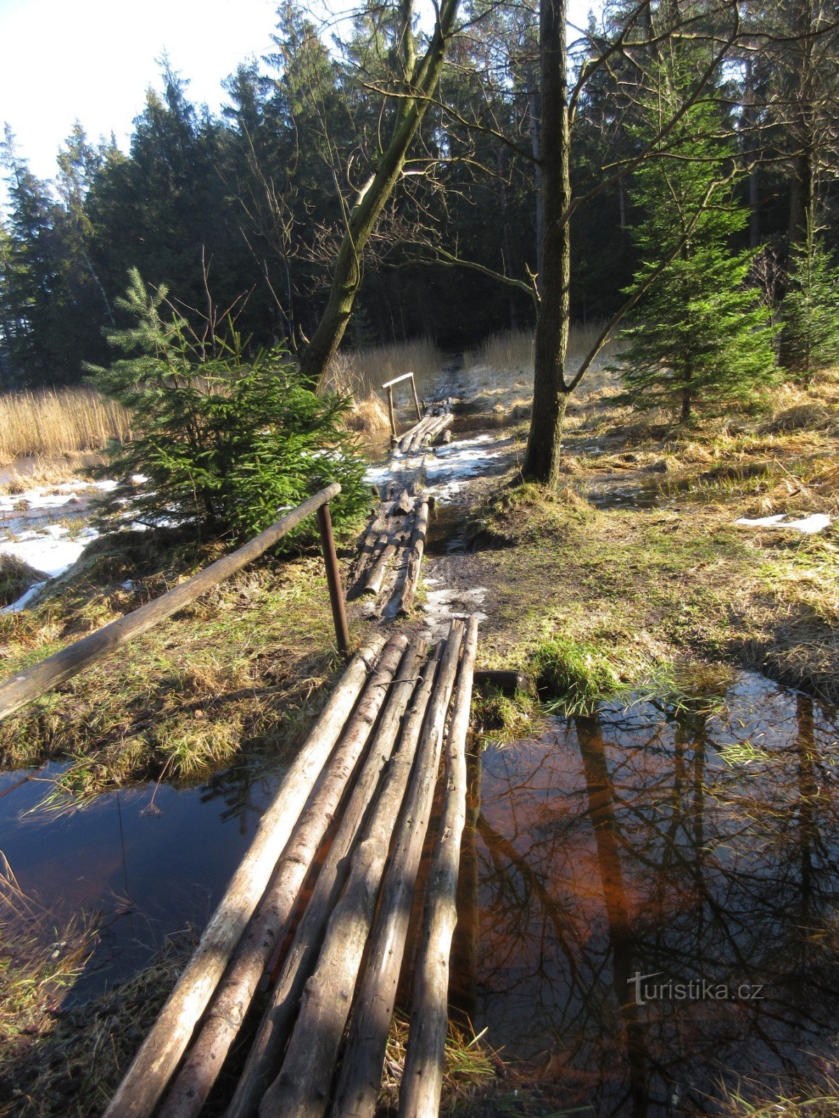 At the Medlovský pond