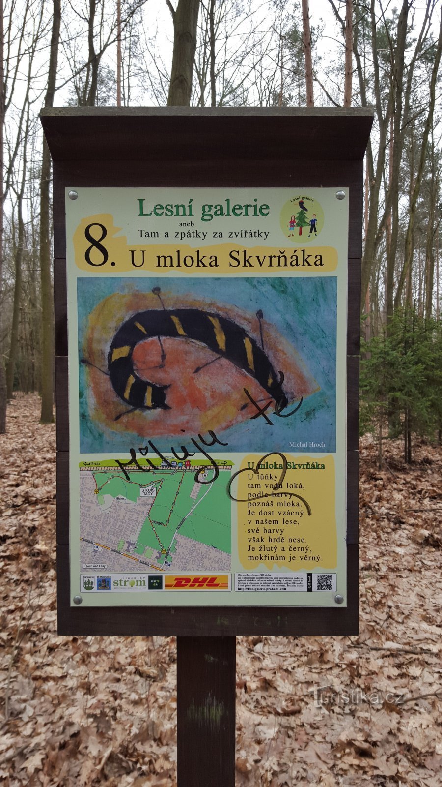 At the newt Skvrňák