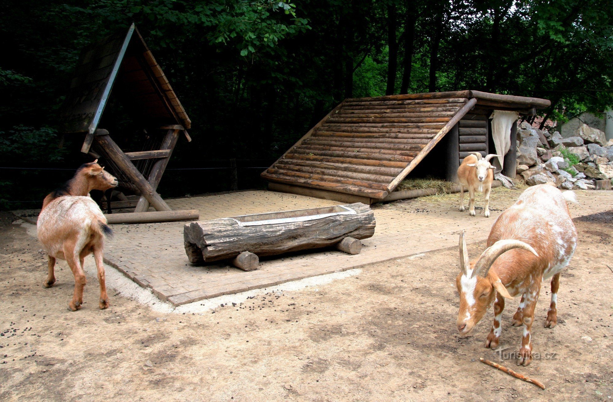 There is a small zoo near the mill