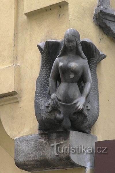 U mořské panny, domovní znamení