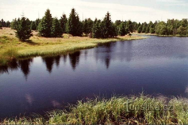 κοντά στο Novodomské raseliniště: Νέα λίμνη