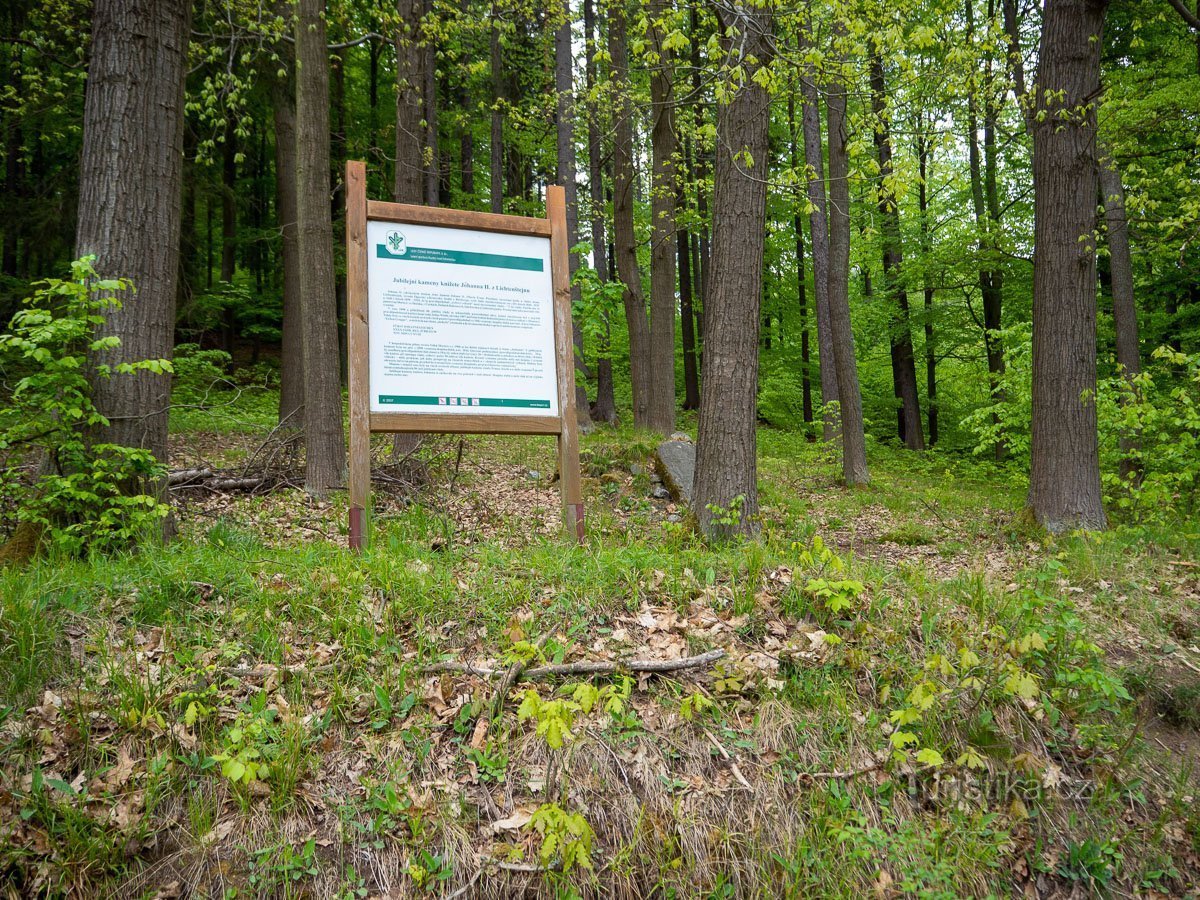 Il y a aussi un tableau des forêts de la République tchèque au monument