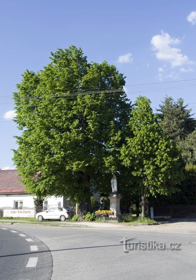 Chez la Vierge Marie