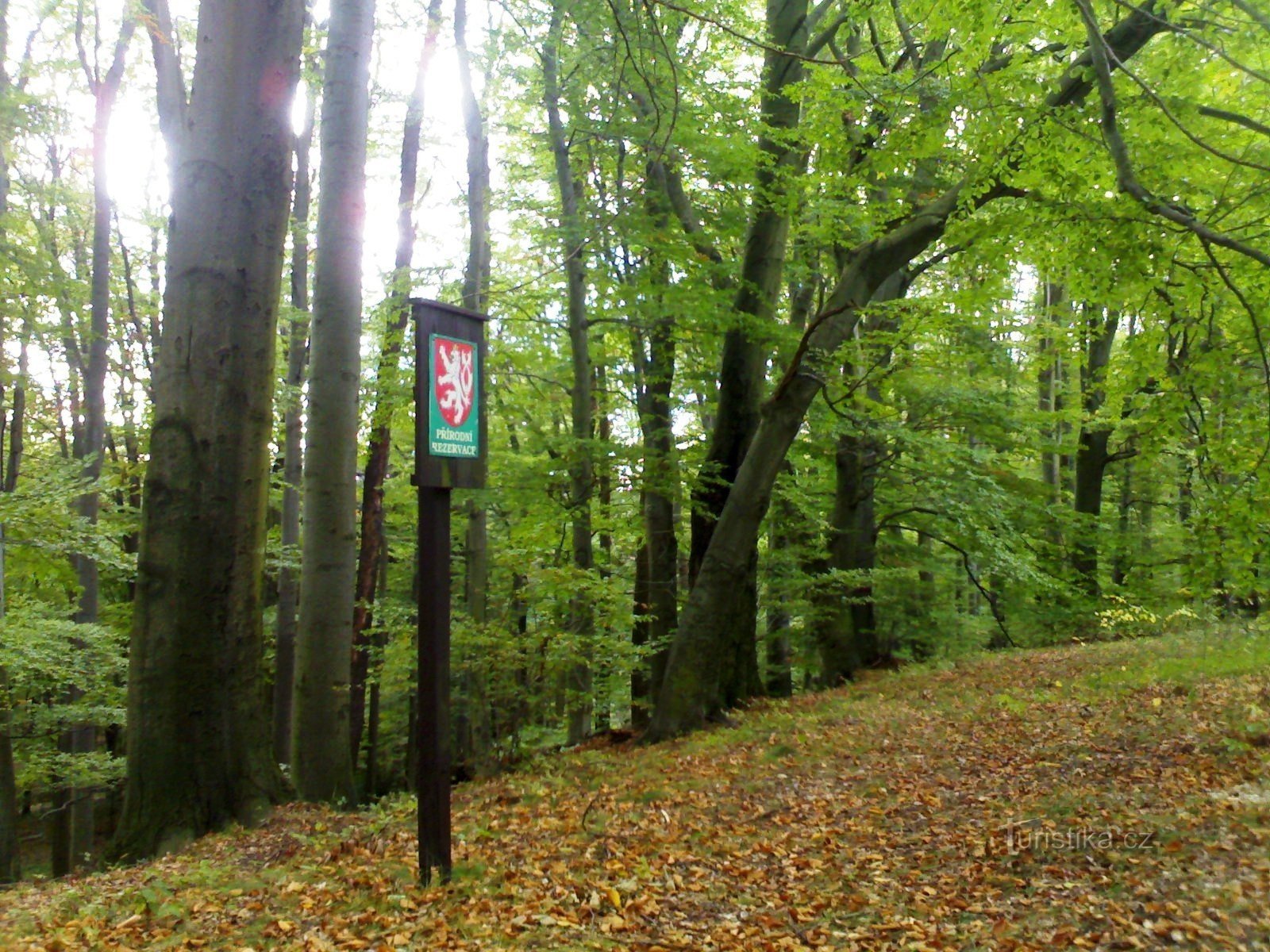 At the park - Prachovská straň