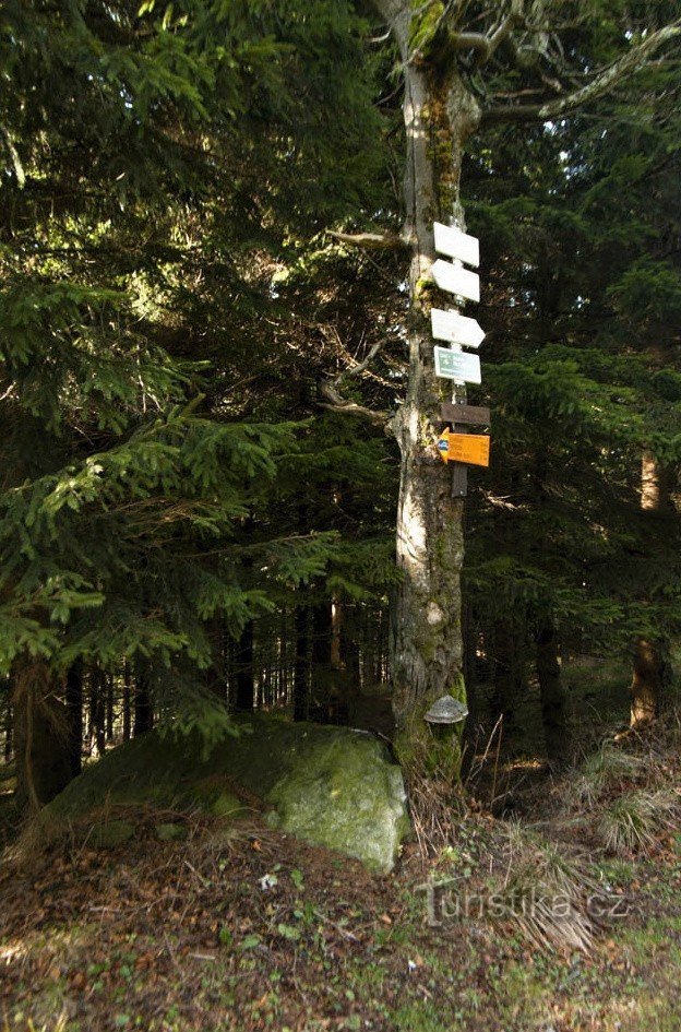 There is a small rock substitute at the base of the tree with the tables