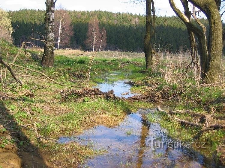 vid Metujekällan