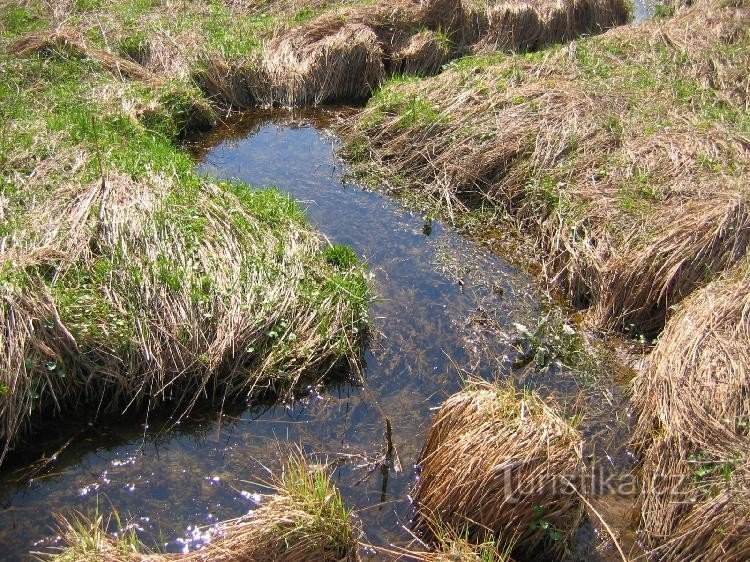 At the Metuje spring