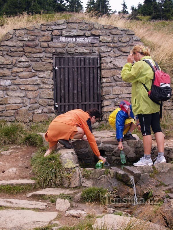 at the source of Morava