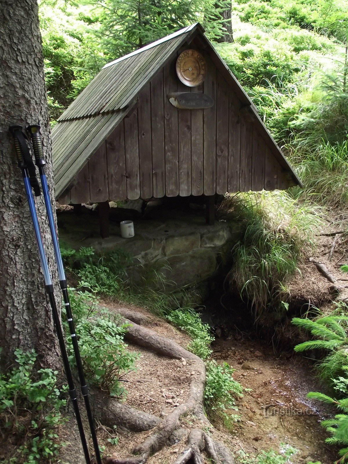 at the Tiché Orlice spring