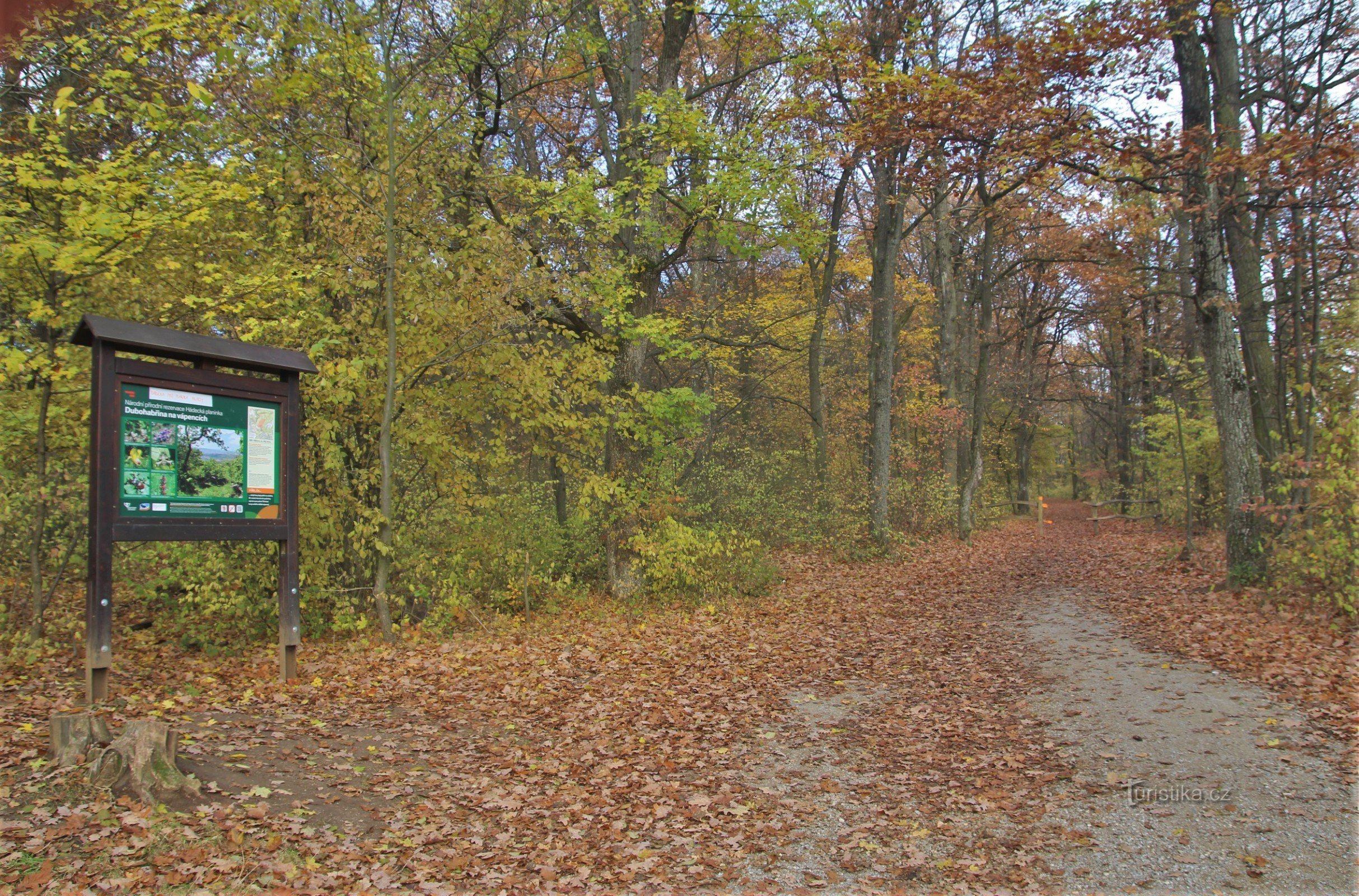 At the crossroads of Velká Klajdovka, game reserve