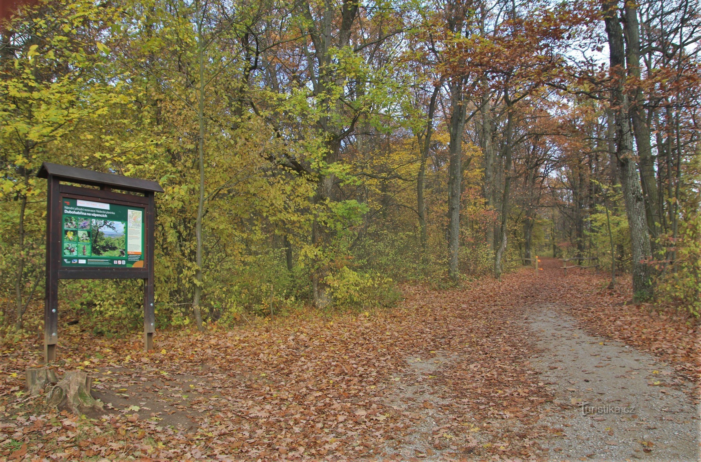 На роздоріжжі Velká Klajdovka, заповідник