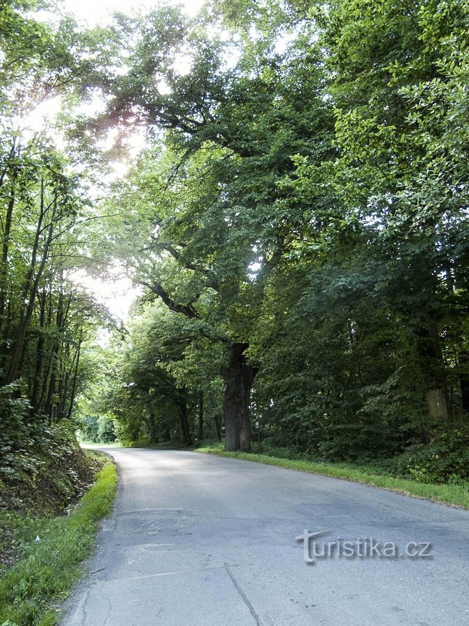 Sur la route de Růžák