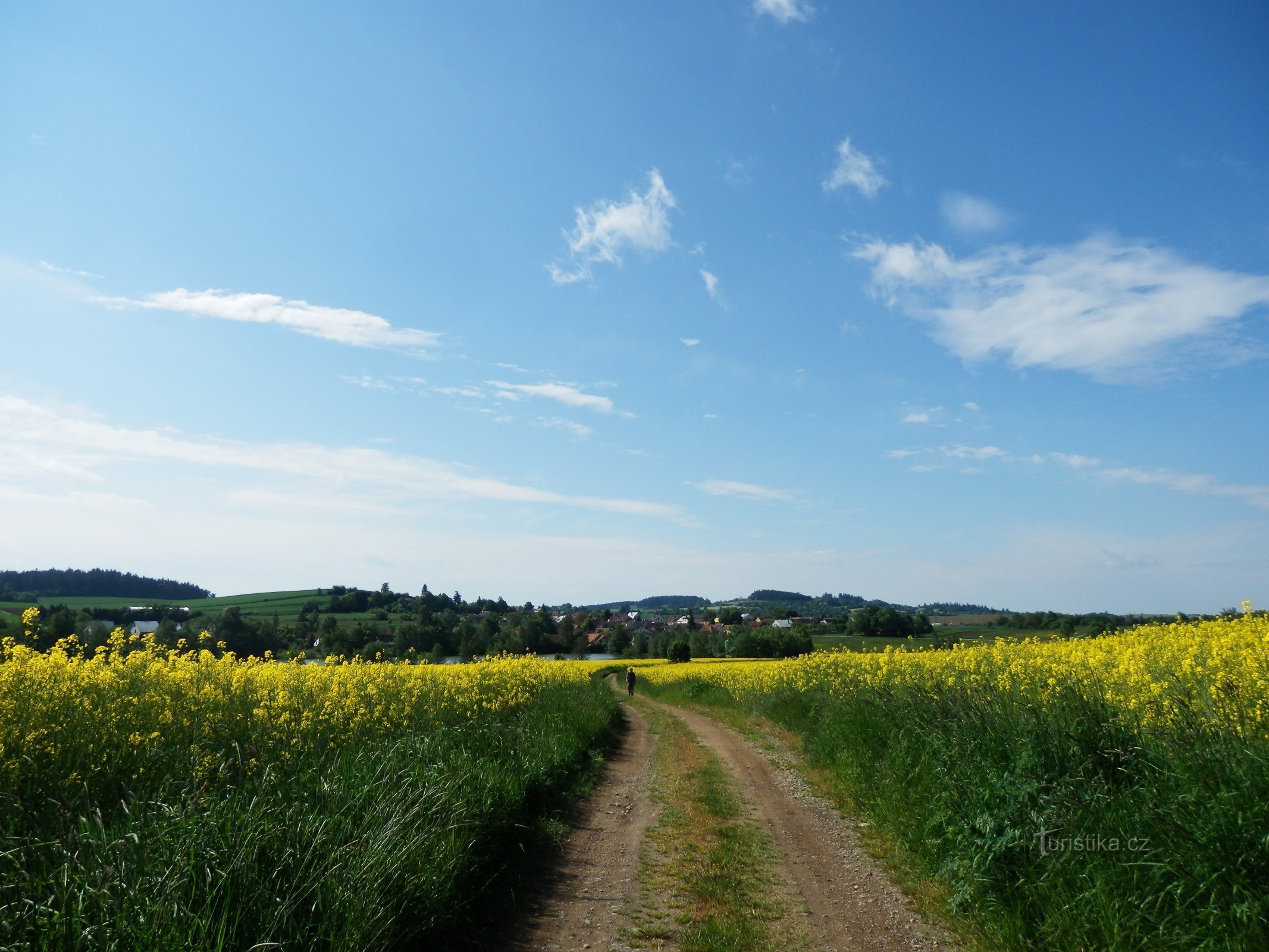 at Sklený