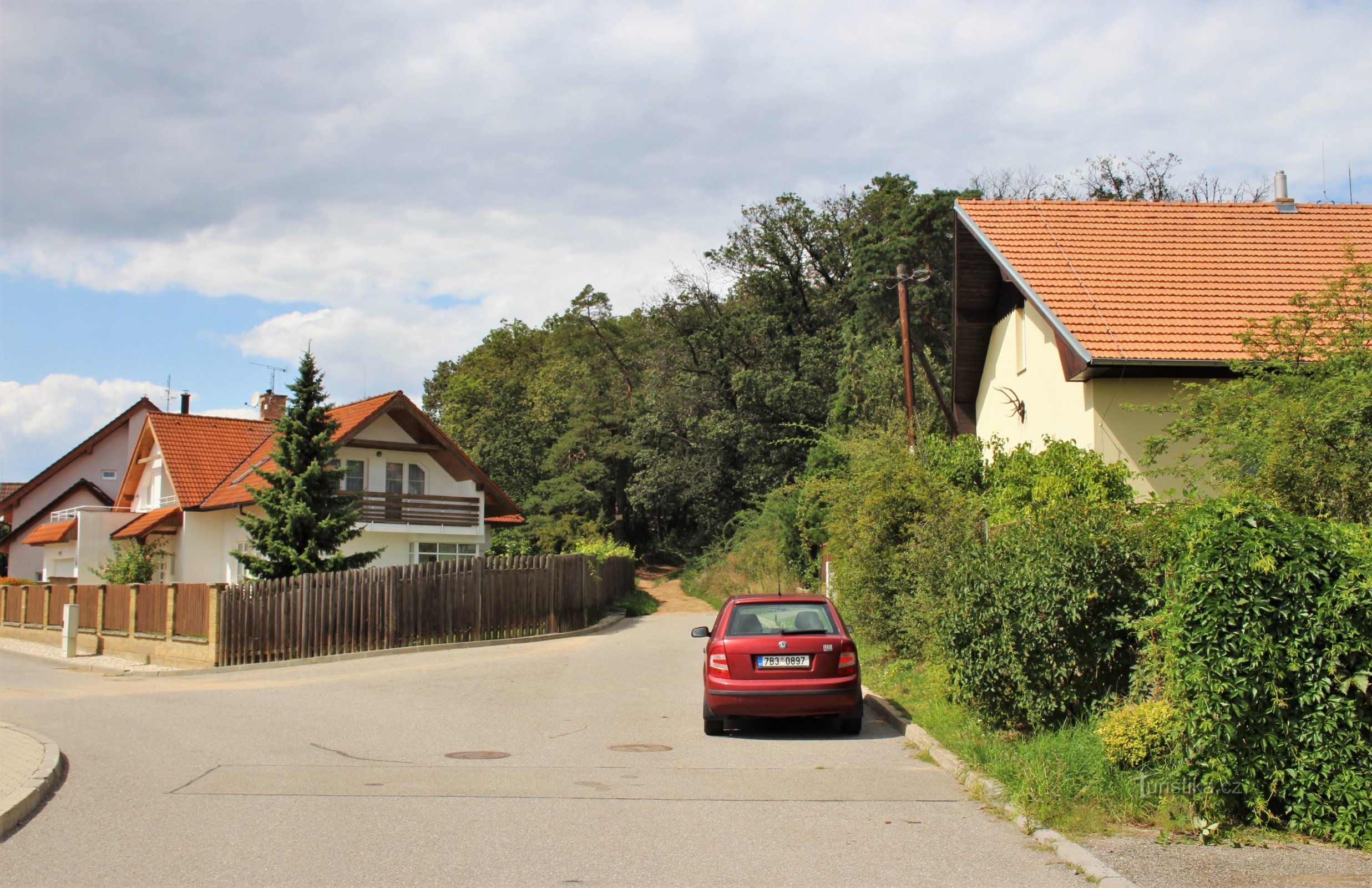 No parque florestal de Sobišice