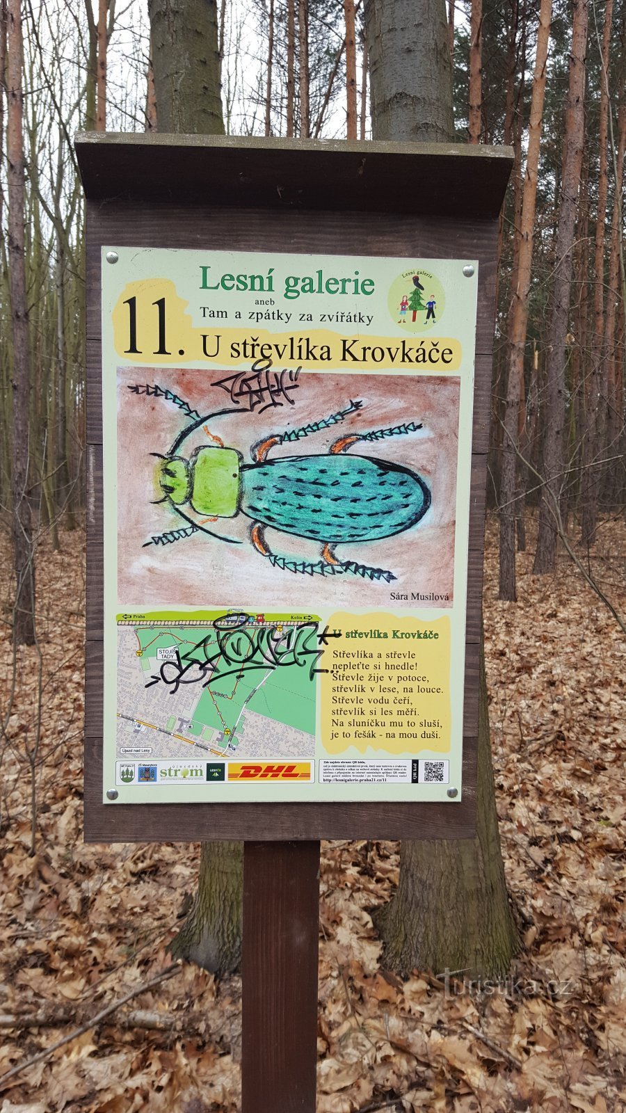 À la marmotte Krovkáč