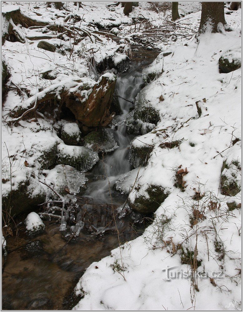 Studánka pod Boremnél