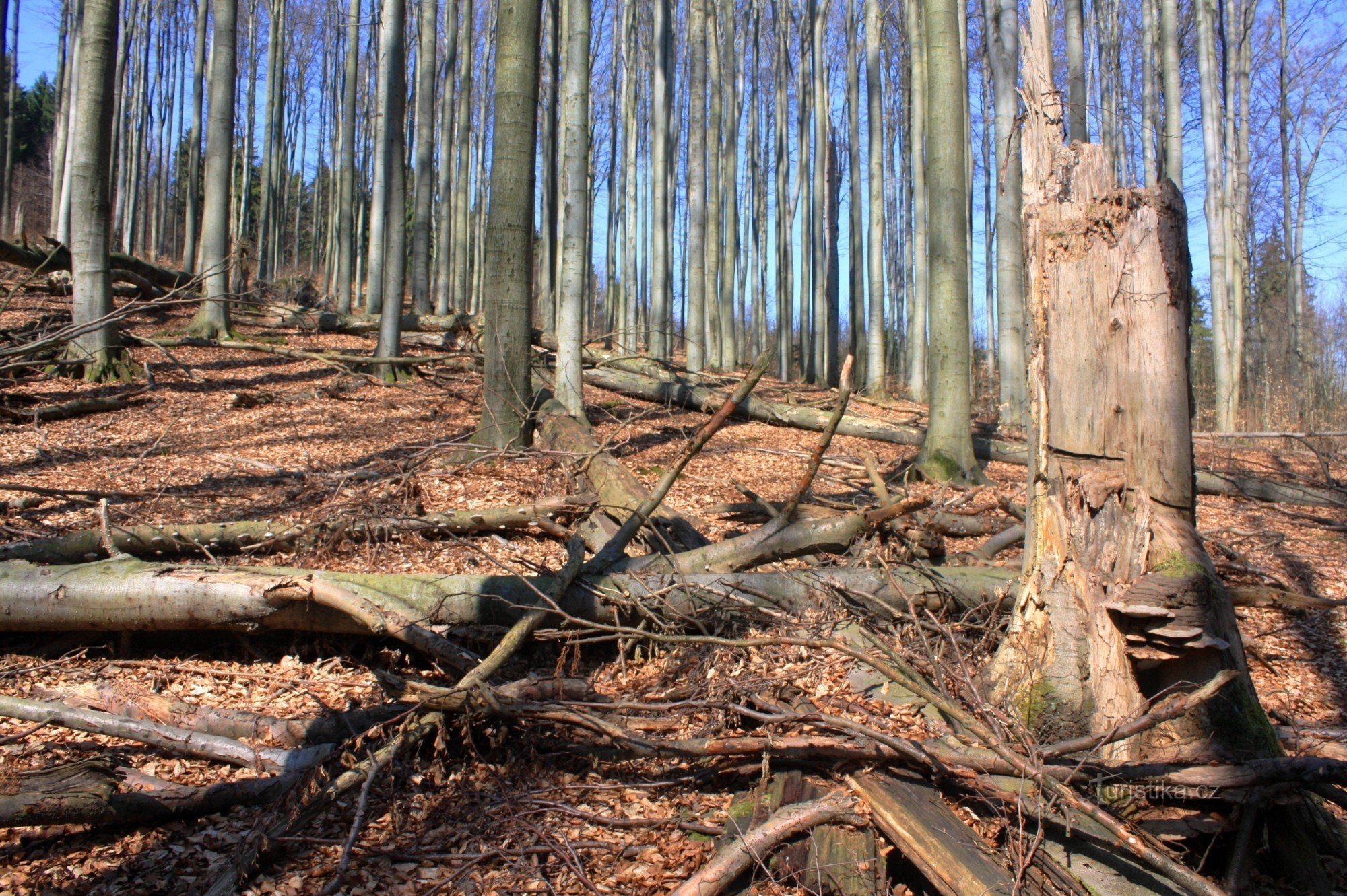 U Troják - nature reserve