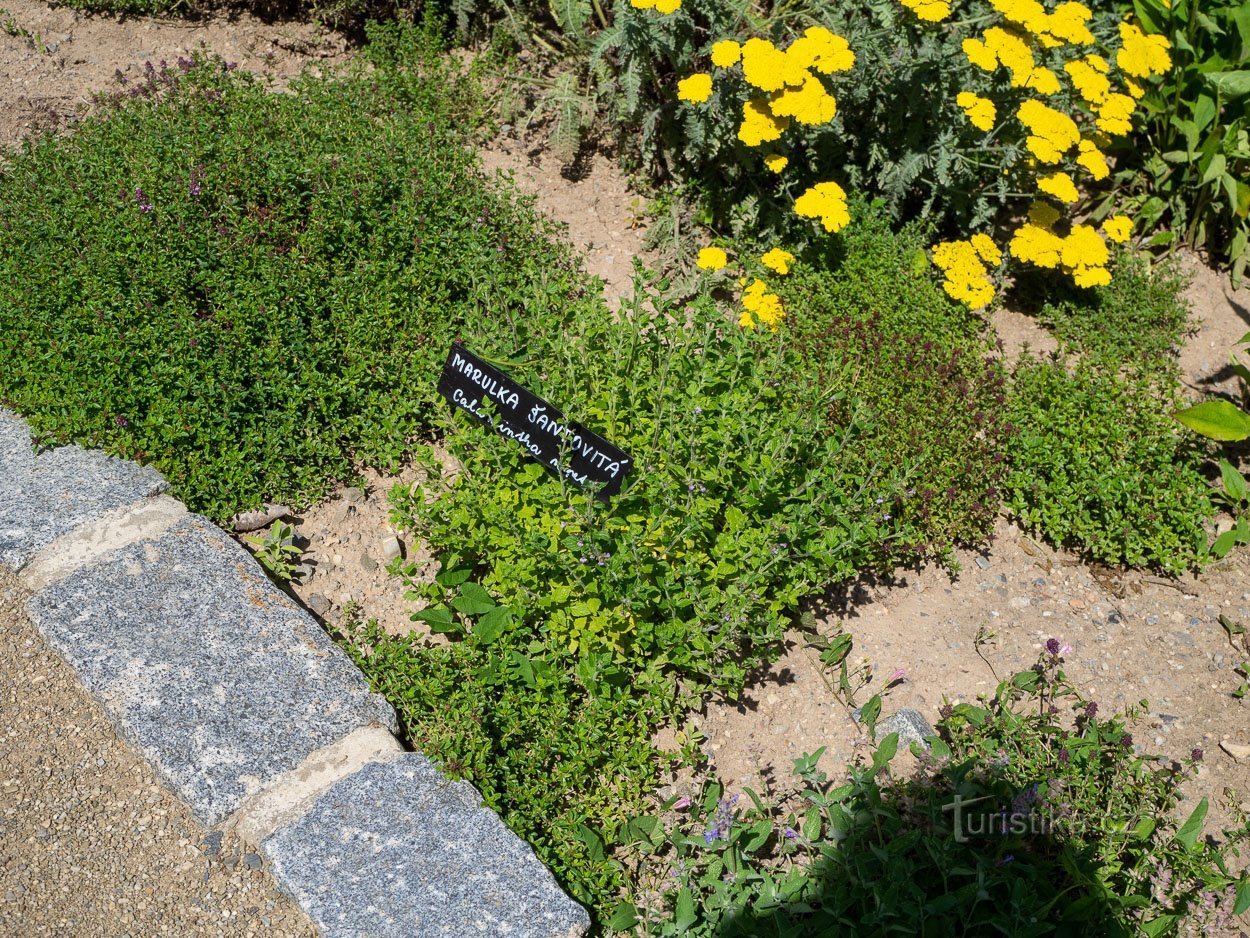 De fleste af blomsterne har også en beskrivelse