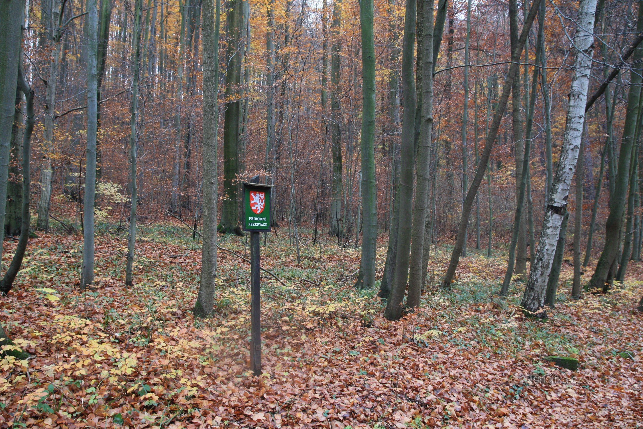 U Výpustek - Naturschutzgebiet