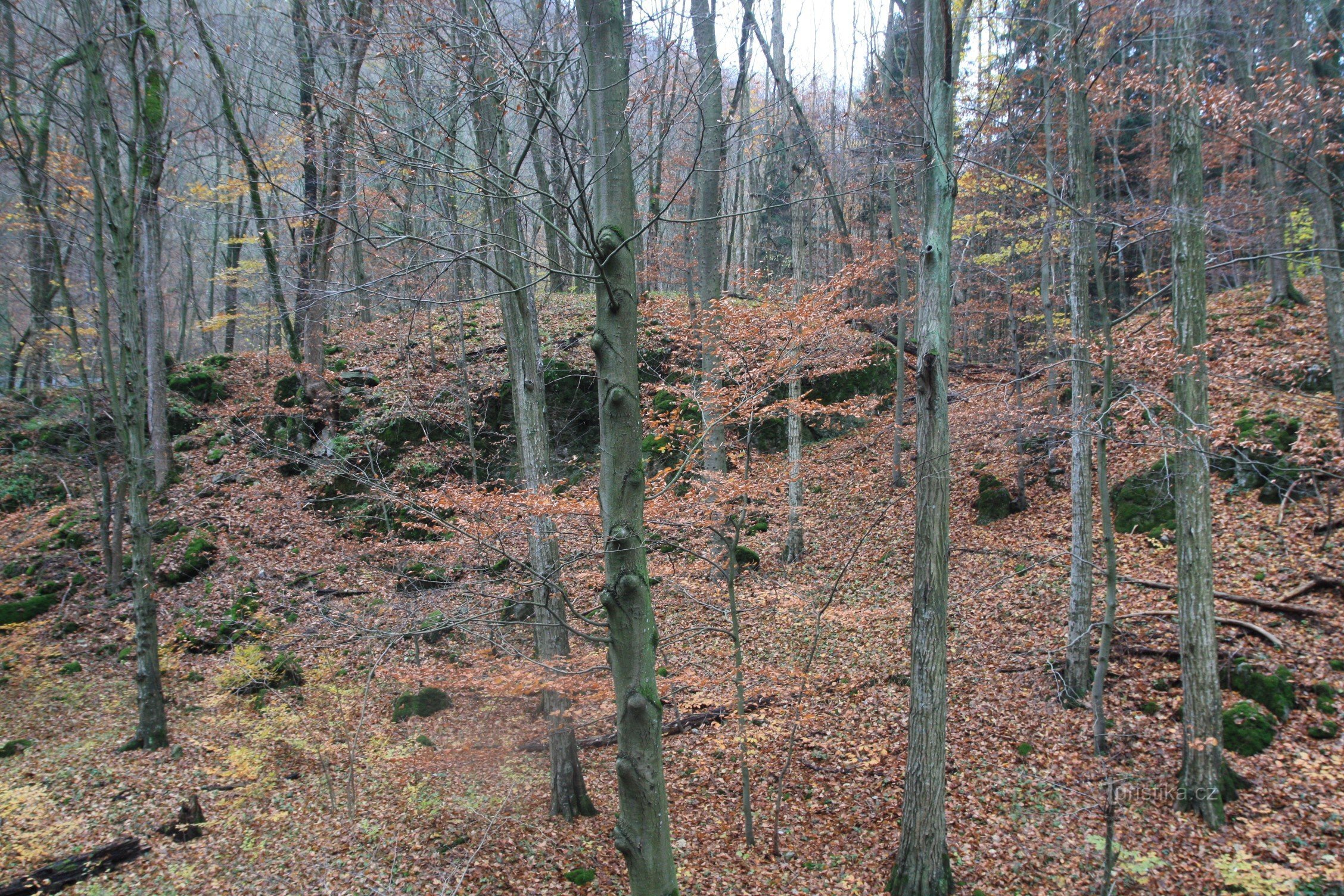 U Výpustek - Naturschutzgebiet