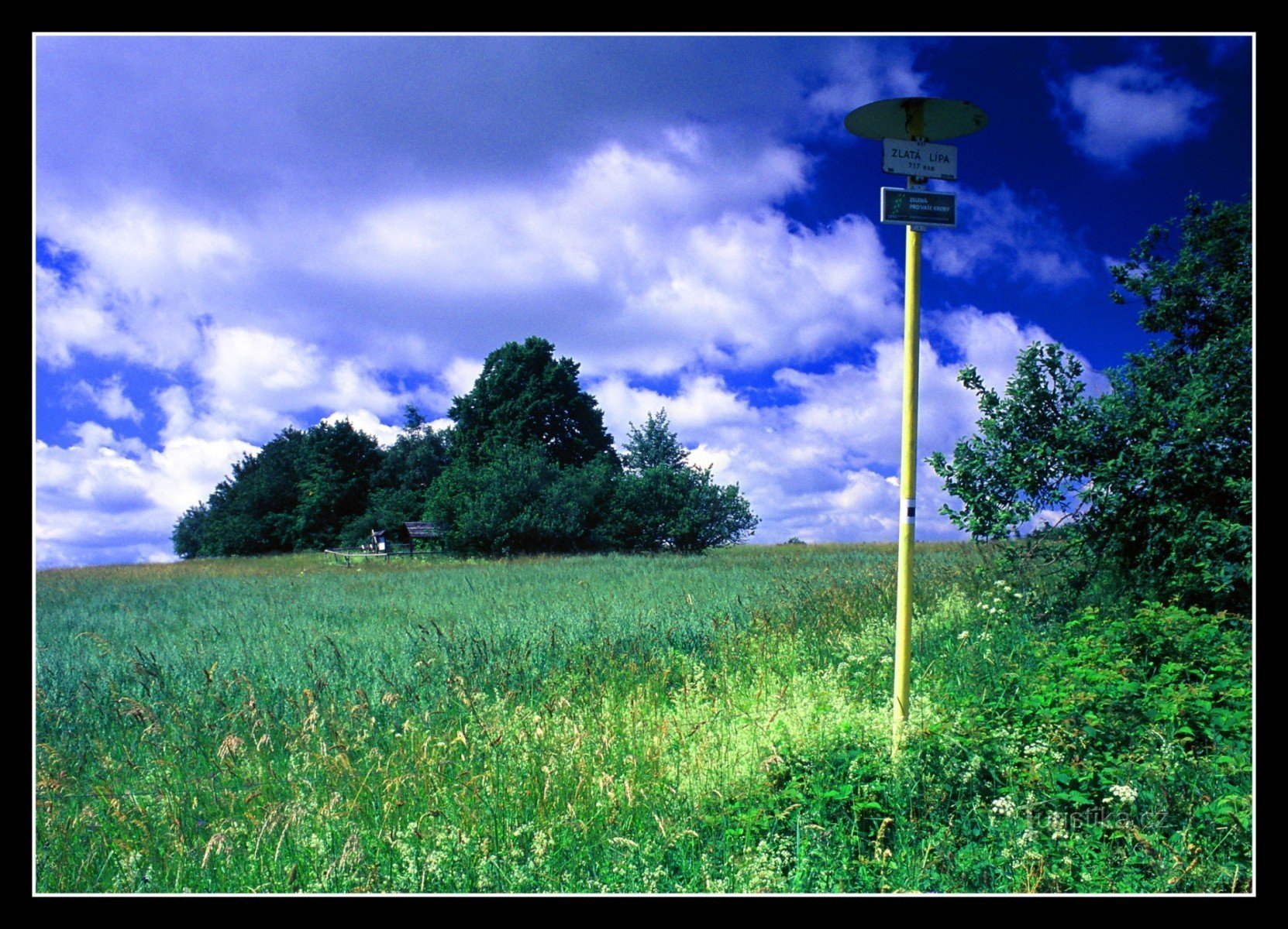 An der Goldenen Linde