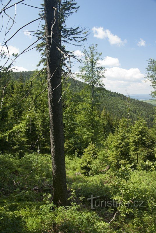 Tranans strand från vägen till den heliga treenigheten