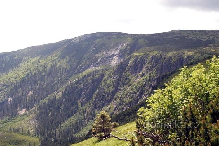 The slope of the Labská mine from the Labská bouda