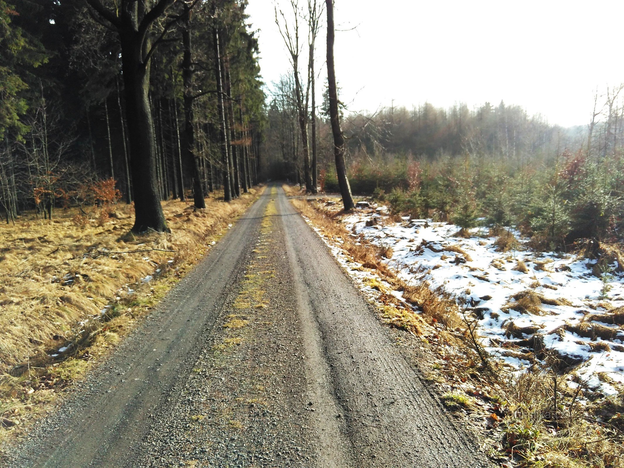 the side of Ptačí vrch