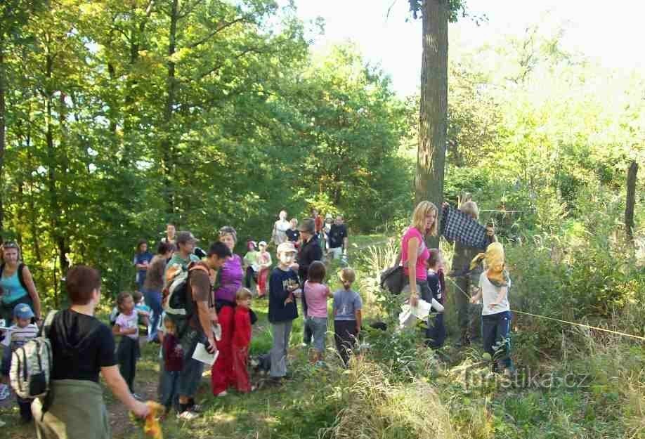 I partecipanti della foresta delle fiabe