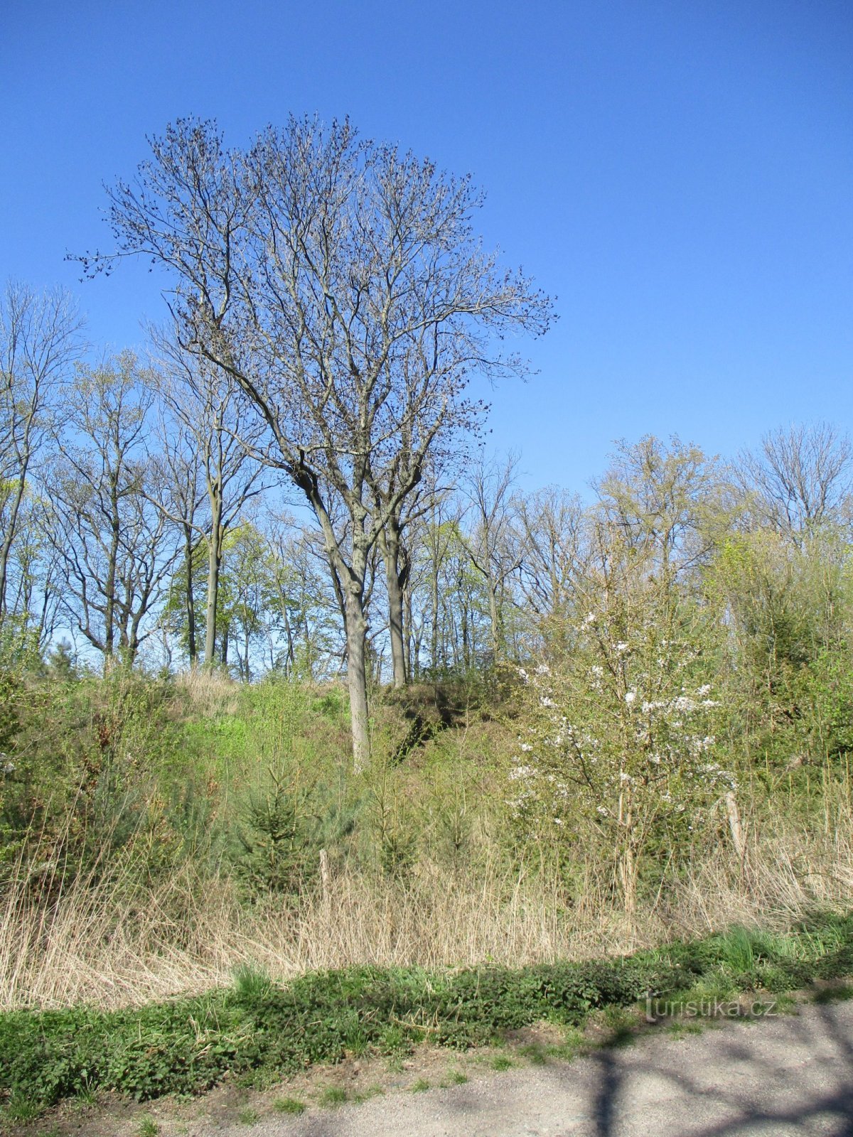 Angebliche Festung (Rodov, 20.4.2020)