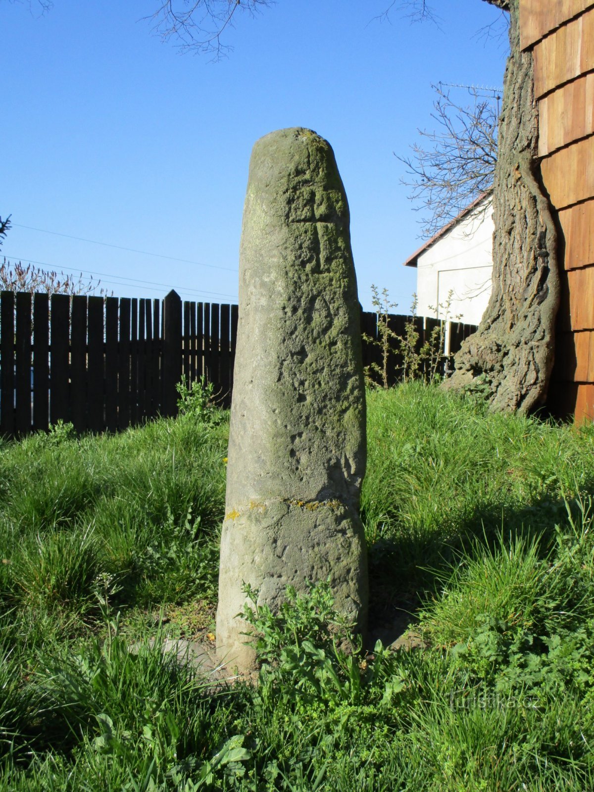 Croix de réconciliation présumée près du tilleul (Sendražice, 11.4.2020/XNUMX/XNUMX)