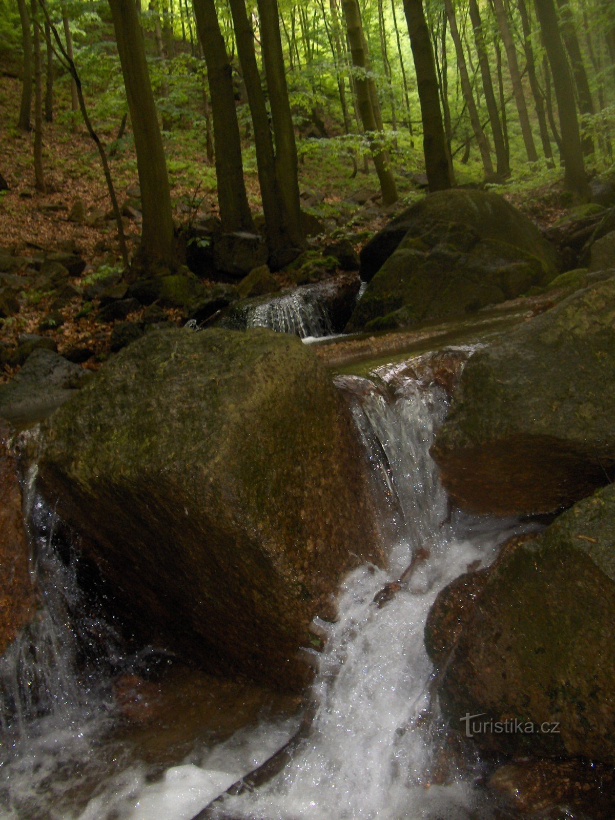 Valle del torrente Albrechtický.