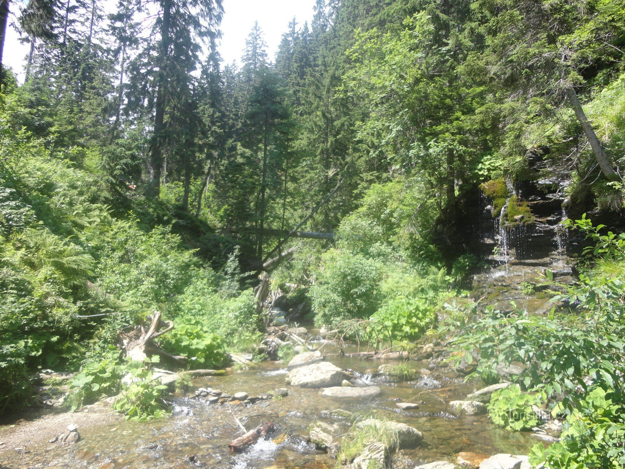 Valley of White Opava