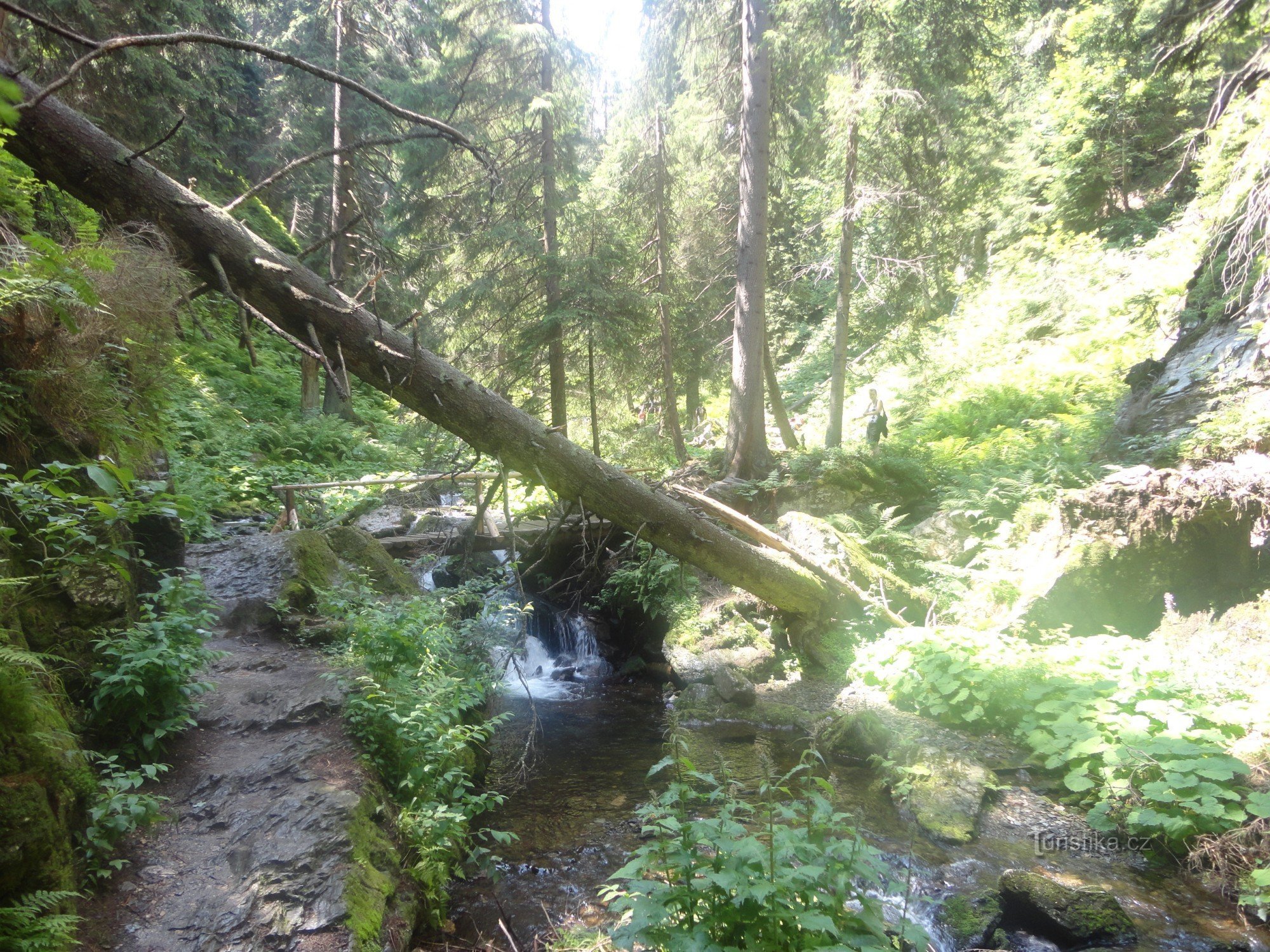 Vallée d'Opava Blanche