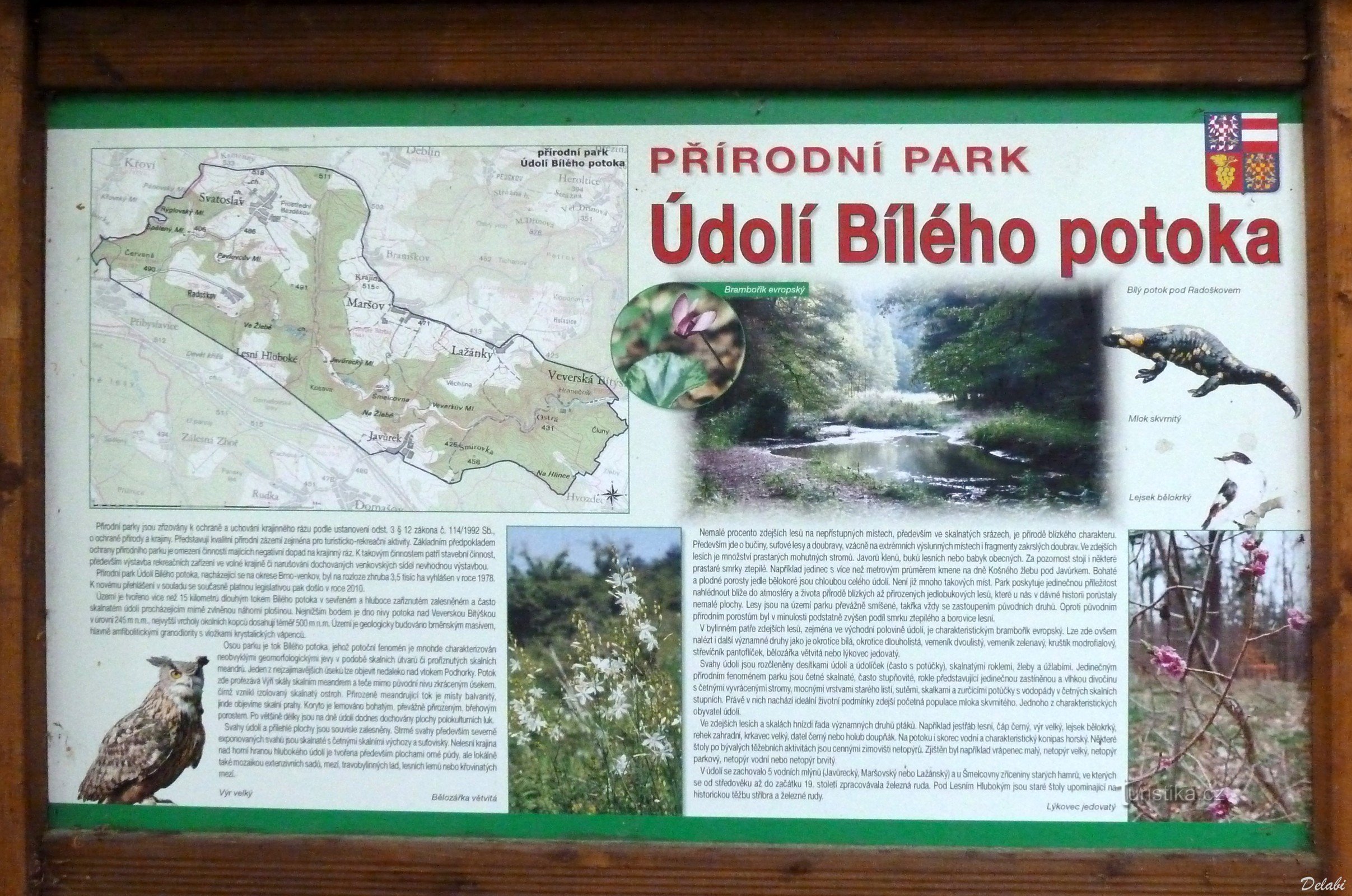 Dolina Bijelog Potoka (1)