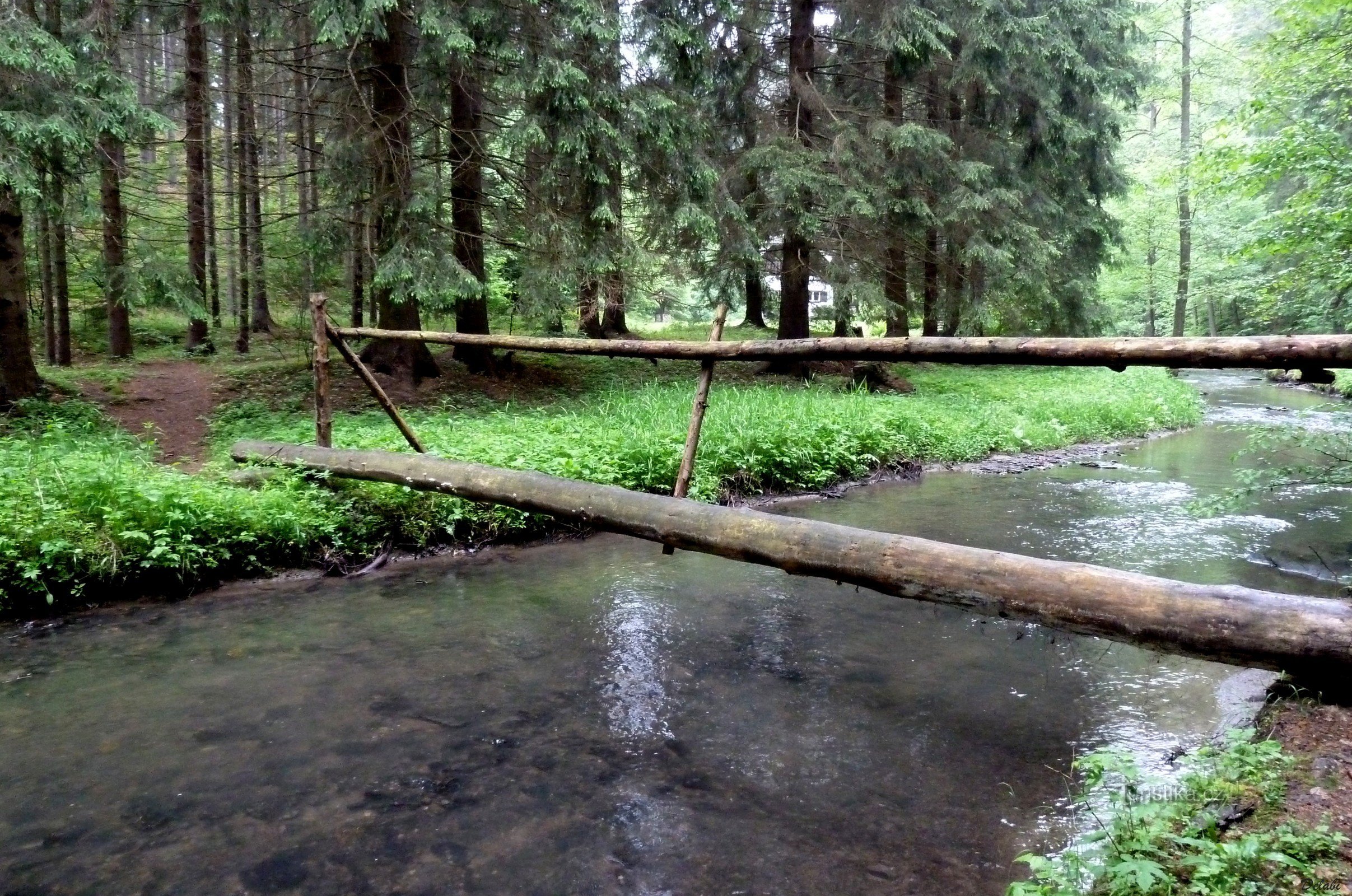 Valle del Arroyo Blanco (2)