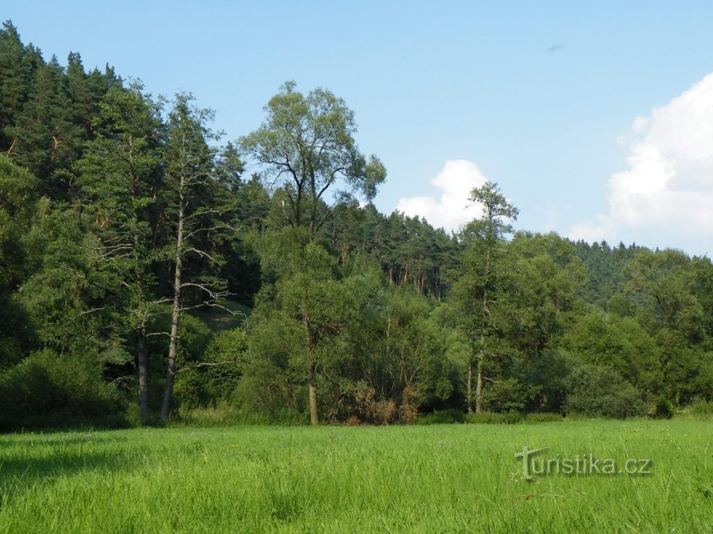 Vallée de Brtnice