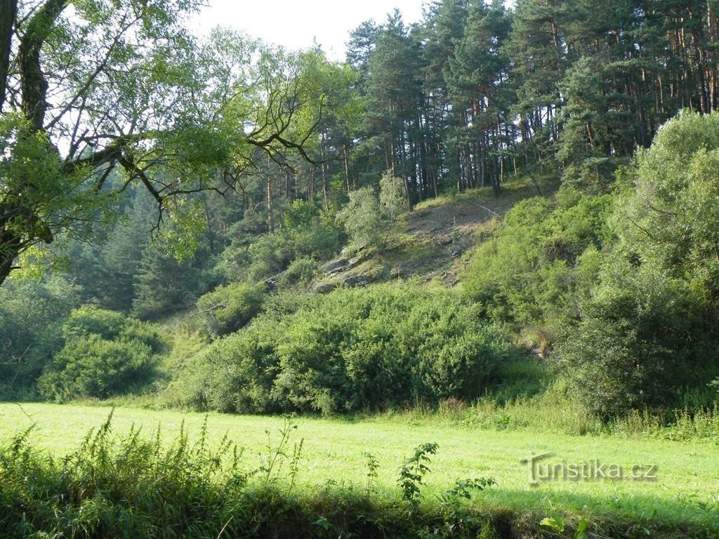 Brtnice Valley