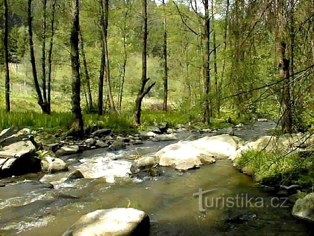 Brtnice-dalen - Brtnička-floden