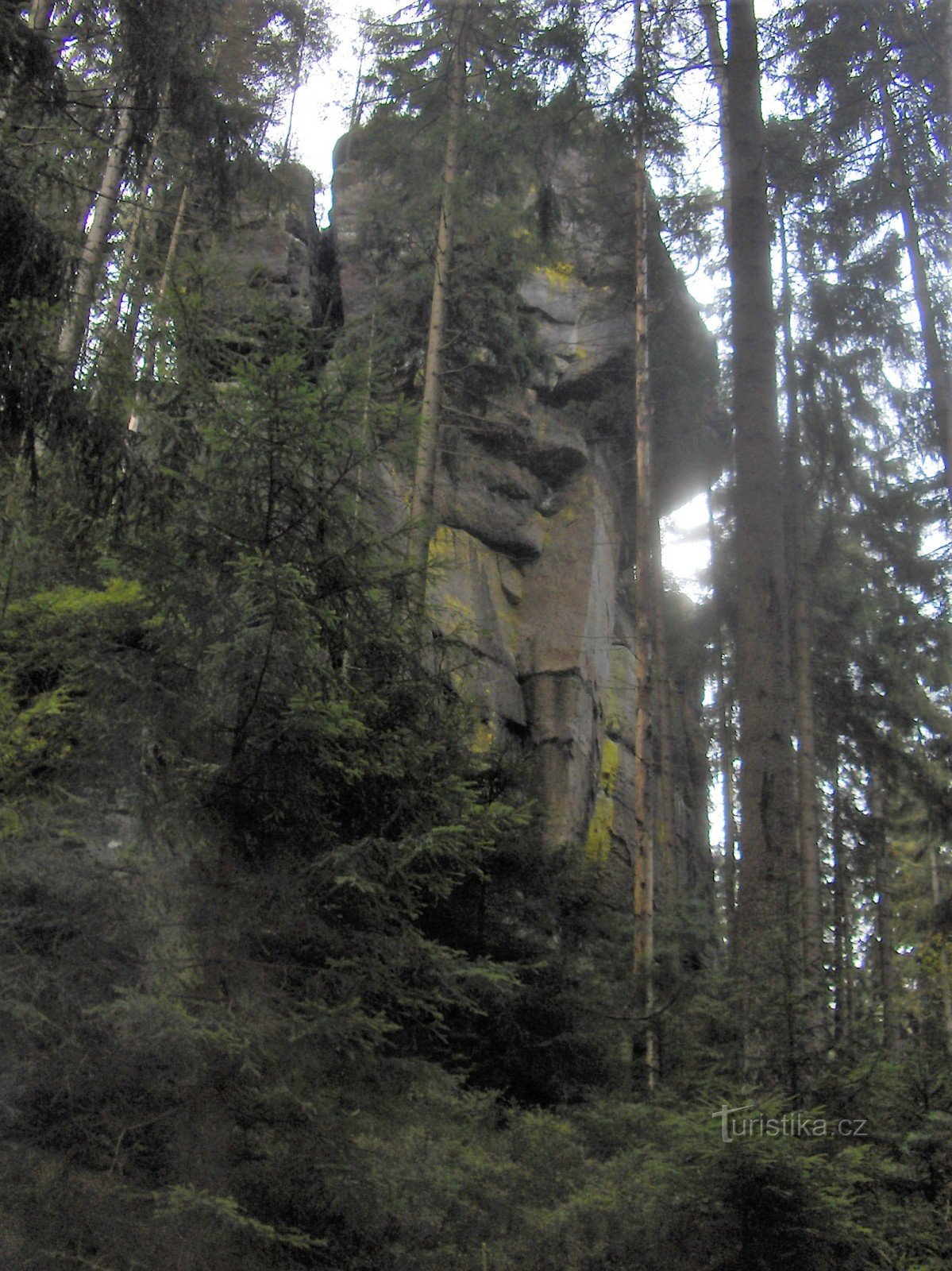 la vallée du ruisseau Brtnické