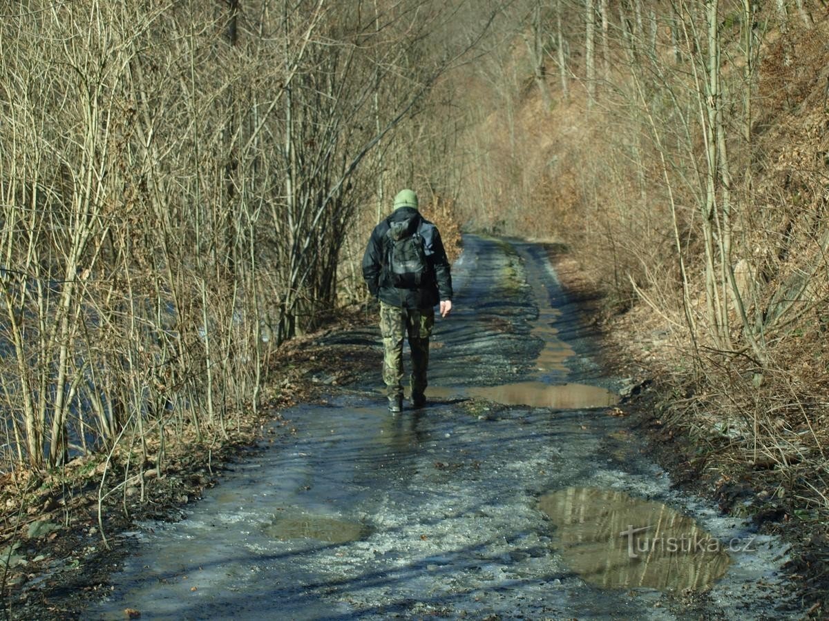 Valea Bystřice