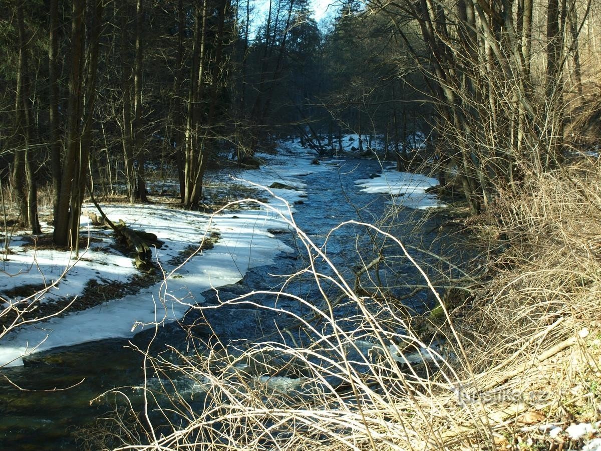 Thung lũng Bystřice