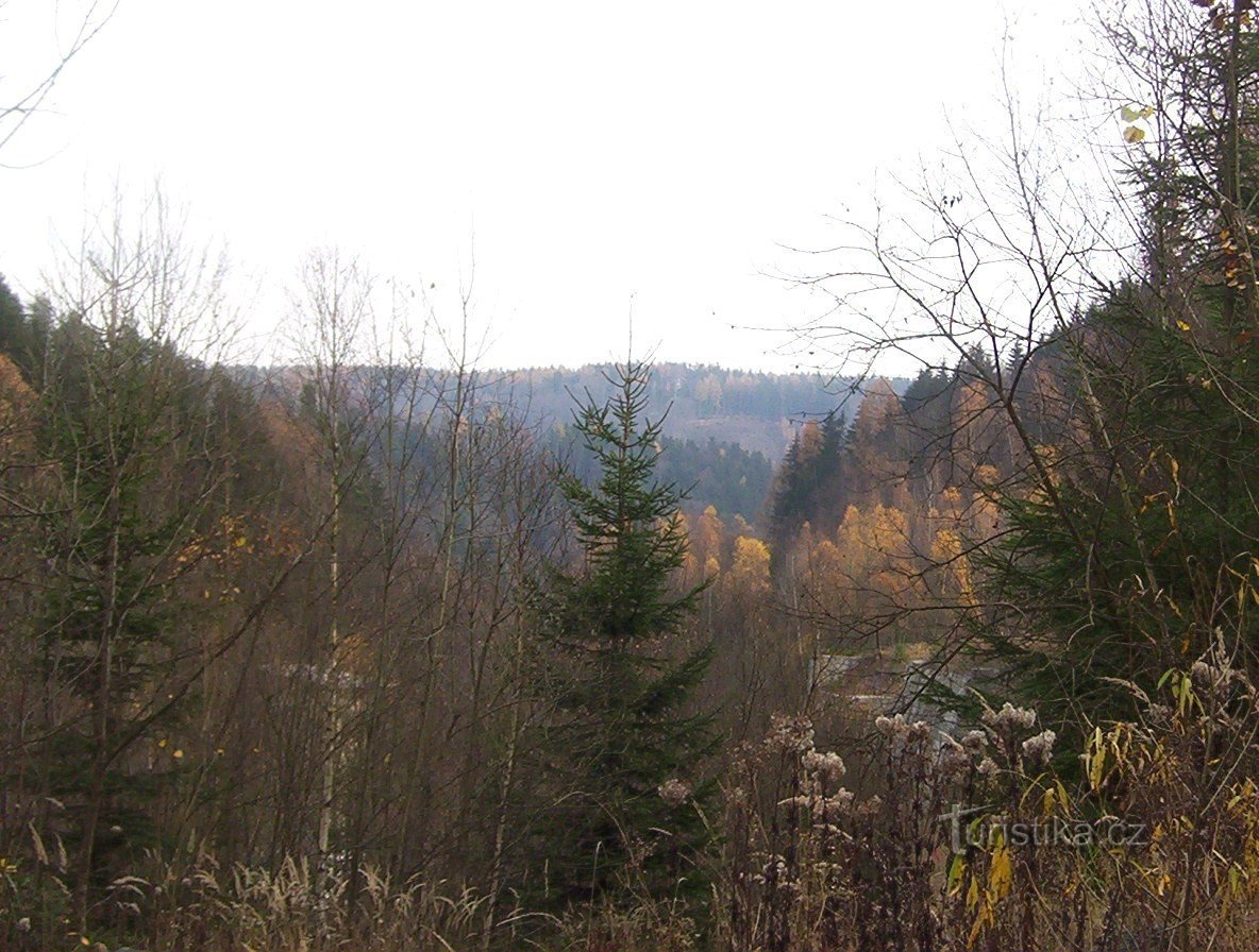 Vallée de Bystřice près de Malé Rabštýn - Photo : Ulrych Mir.