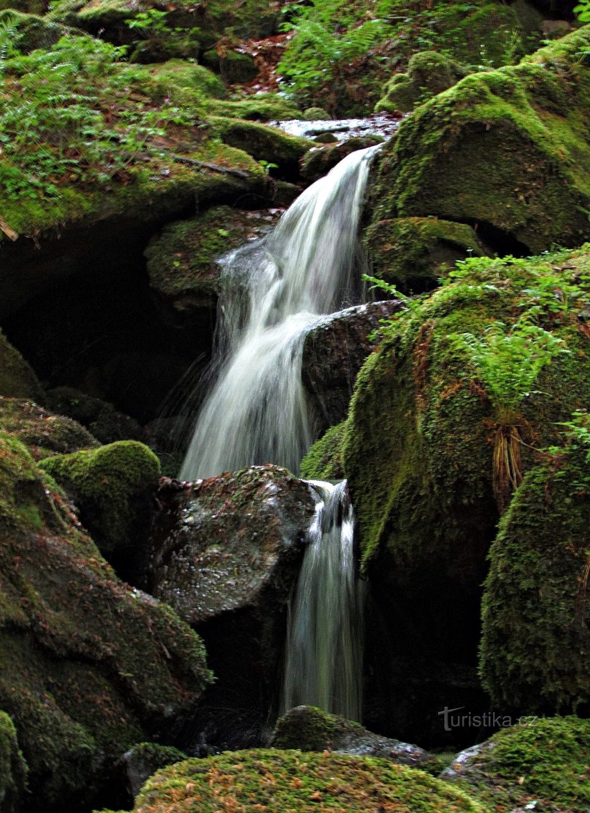 Bystřička valley under Tesák