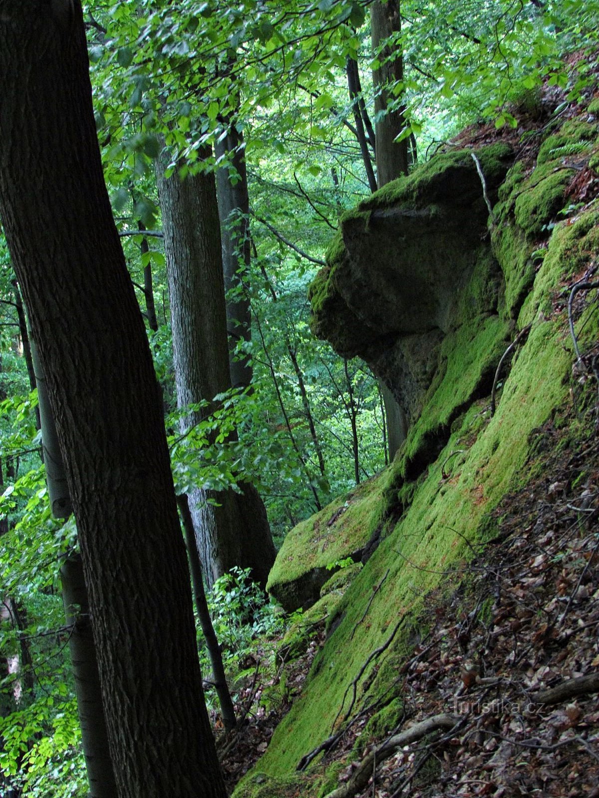 Valle di Bystřička sotto Tesák