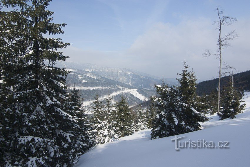 The valley of the Červenohorské stream