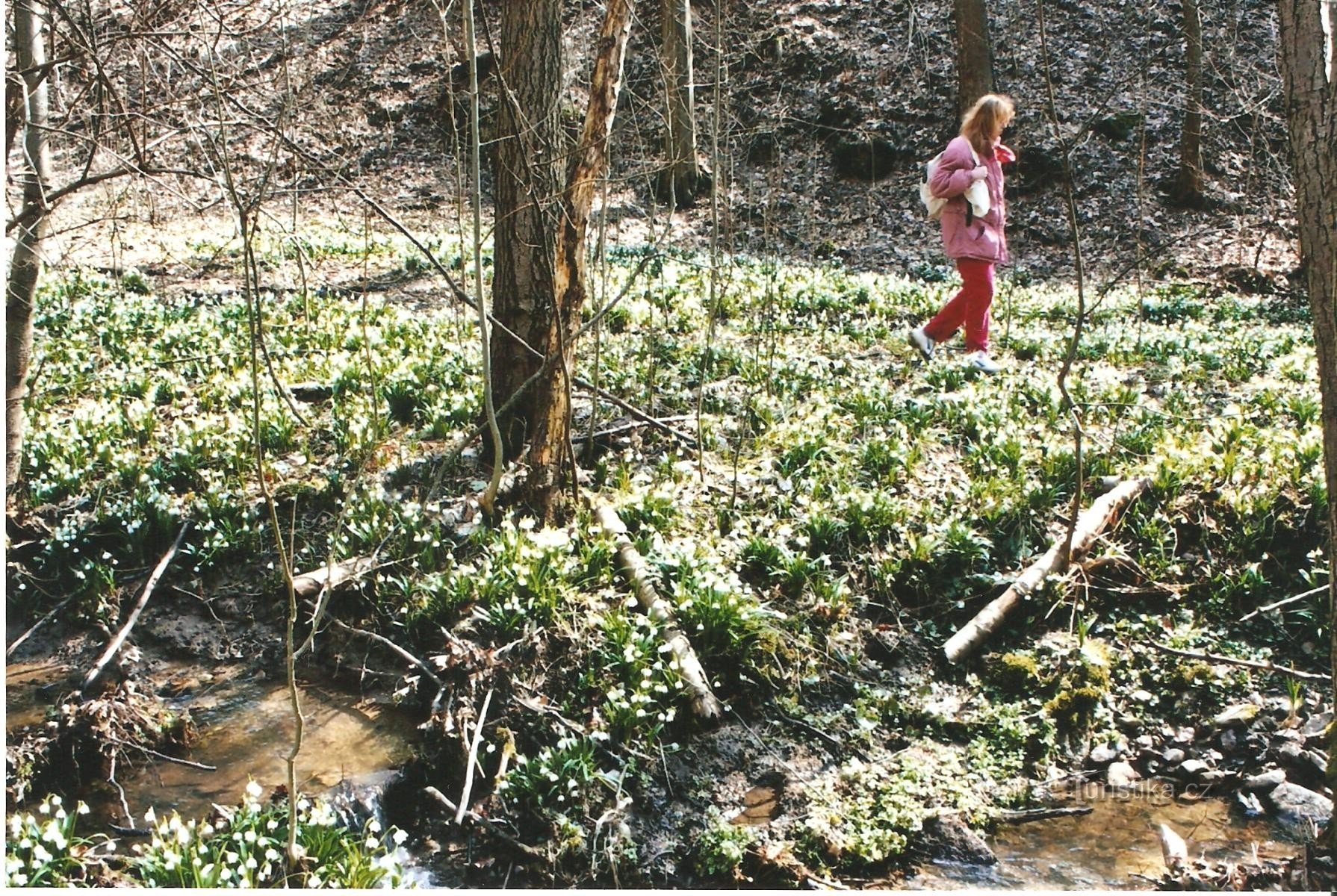 Valle di Chlébské Potok