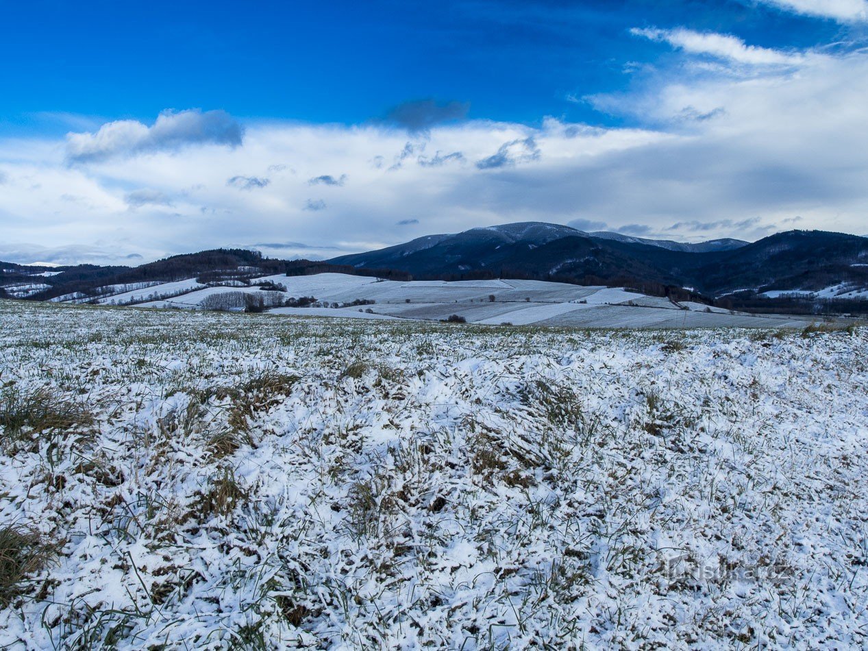 Vallée Desná avec fourmilière