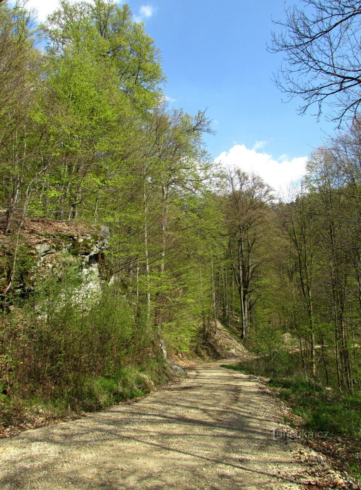 Dobřečovska dolina potoku