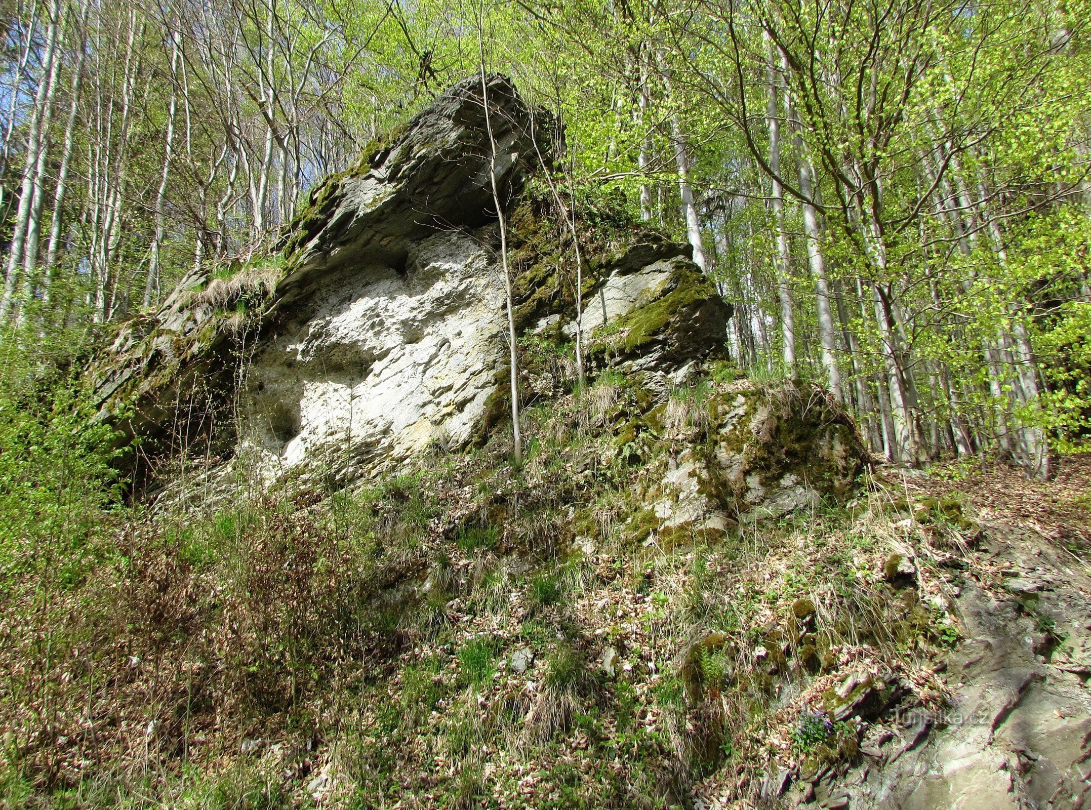 Dobřečovský stream valley